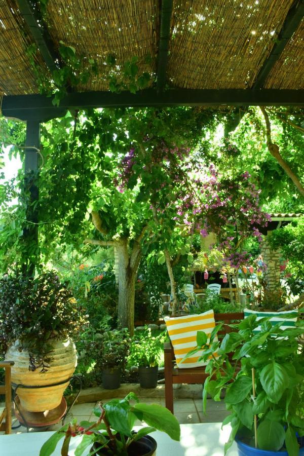 Sparto Village Spartokhórion エクステリア 写真